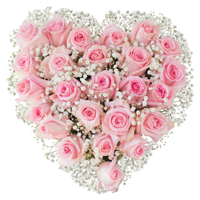 A sumptuous heart-shaped arrangement of soft, pastel pink roses - roughly two to three dozen blooms arranged with meticulous symmetry - creates a dense, velvety field of petals that reads like a single sculpted form. Each rose is captured in a different moment of opening: some remain tightly furled, forming neat, rounded buds; others have opened enough to reveal layered spirals of petal, their edges catching light and shadow. Threaded throughout those pink masses are innumerable tiny sprigs of white baby's breath (Gypsophila), their fine, cloud-like clusters providing contrast and a delicate, airy texture that helps to accentuate the heart silhouette against the pure white background. The lighting is bright and even, enhancing the fresh, dewy sheen on the petals and allowing the subtle gradations of pink to be clearly perceived - from the palest blush to a soft, rosy depth nearer each bloom's centre. The craftsmanship is evident: careful placement, consistent spacing, and an eye for balance that keeps the heart both lush and crisply defined. Emotionally, the piece reads as a classic emblem of love and devotion - suitable for weddings, anniversaries, or a romantic gesture - and it carries the intimate feel of a bouquet made for neighbourhood delivery along Lea Bridge Road, perhaps destined for a home on the edge of Hackney Marshes or a cottage by Millfields Park. This is an arrangement that speaks of thoughtful care, local expertise, and timeless tenderness.