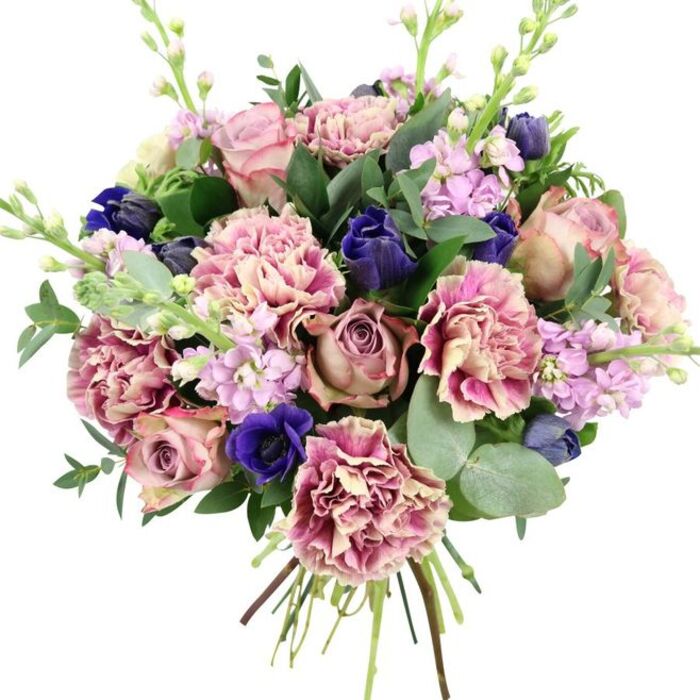 Captured against a bright white background, this lush hand-tied bouquet appears freshly finished, as though a Lea Bridge florist has just set it down after tying the final knot. At the core of the design sit generous garden roses in dusty rose, blush pink, and muted mauve, their petals spiralling outwards in dense, cup-shaped blooms that immediately convey romance and refinement. Interwoven through these are abundant ruffled carnations, their textured petals shifting from creamy beige and soft blush at the centre to richer rose and fuchsia at the edges, giving the bouquet a layered, almost billowing quality. Deep blue and indigo blossoms, some still in smooth, tulip-like bud form, punctuate the softer hues with a dramatic jewel-like contrast, while a standout royal blue anemone with a near-black centre draws attention near the front of the arrangement, its velvety texture adding depth and intrigue. Light, airy stems of lilac and pale lavender stock rise delicately above and between the larger flowers, each tiny floret catching the light to create a sense of height and gentle movement, reminiscent of the way spring flowers sway in the breeze along the streets around Lea Bridge station. The blooms are surrounded and supported by fresh greenery: glossy dark green rose foliage paired with distinctive rounded eucalyptus leaves in a soft silvery-green, which bend and arc to frame the design with a relaxed, natural feel. Neatly gathered stems at the base confirm this is a classic hand-tied bouquet, ready for delivery to homes and offices across Lea Bridge. The arrangement's sophisticated mix of pinks, purples, blues, and greens makes it ideal as an elegant gift for anniversaries, thank-you gestures, or simply to bring a touch of calm beauty into a local living room.