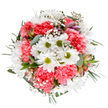 Brimming with vibrant colour and local charm, this hand-crafted bouquet from a Lea Bridge florist captures the essence of spring renewal and heartfelt joyousness. The overhead viewpoint, paired with a spotless white background, serves to illuminate every subtle detail: pure white daisies with radiant green centres centre the design, their gentle petals encircling the core of the arrangement like rays of midday sun over the Lea Valley. Plush coral-pink carnations are artfully clustered among them, their rich texture evoking comfort and warmth often found in close-knit local gatherings. Soft clouds of baby's breath (gypsophila) add a delicate, airy finish, while a handful of slender alstroemeria buds show off elegant streaks of purple and pink, suggesting unfolding stories yet to blossom. Below, the lush greenery-silvery eucalyptus mixed with deeper green leaves-creates contrast and a feeling of abundant freshness, much like a morning spent in nearby parks. The bouquet's harmonious circular shape and thoughtful mix of forms reflect the natural grace of Lea Bridge itself. As a gift for birthdays, anniversaries, or spontaneous tokens of appreciation, it brings with it not only vibrant energy but also the careful skill and heartwarming intention of a neighborhood florist, making every delivery feel personal and truly special within the local Lea Bridge community.