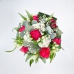 A lush, celebratory bouquet is photographed from directly above, the flowers forming a full, rounded circle that stands out crisply against a pure white background, as if resting on a sunlit table in a Lea Bridge townhouse. At the heart of the design, large hot pink carnations, deeply ruffled and almost cloud-like with their many layered petals, create a sense of volume and movement. Nestled between them are rich fuchsia-pink roses, some fully open to reveal their elegant spiralled centres, others still in tighter buds that promise to unfurl over the next few days. Scattered throughout, clusters of petite white spray chrysanthemums and similar daisy-like blossoms add a soft, cushiony texture, while delicate sprays of white baby's breath weave a fine, lacy veil through the arrangement. Slender white buds, reminiscent of alstroemeria or lily blooms, lift the eye and lend a note of quiet refinement. Surrounding the flowers, a generous collar of greenery grounds the design: rounded, silvery eucalyptus leaves with their cool, matte sheen mingle with longer, bright green blades and darker, broader leaves, likely folded aspidistra, which frame the bouquet like a carefully crafted wreath. The lighting is clean and even, highlighting the contrast between the vivid pinks, crisp whites, and layered greens, and making every petal and leaf edge appear sharp and fresh, as if just arranged by a local florist after a morning walk along Lea Bridge Road. The overall mood is joyful yet tender, a bouquet that feels perfect for sending congratulations, brightening a new flat near Hackney Marshes, or lifting the spirits of someone needing a vibrant reminder of beauty and care.