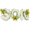 A tender, three-dimensional funeral tribute carefully shaped to spell SON across a horizontal plane, photographed on a clean white background so every detail reads clearly. Each capital letter is built from a dense, cloud-like mass of small white chrysanthemums whose rounded petals and soft, cushiony heads create a plush, peaceful surface; the white blooms evoke purity and quiet repose while their faint green stems peek through at the edges. Dark green ivy with glossy, five-lobed leaves trails through and around all three letters, its curling tendrils adding depth and an evergreen sense of continuity. Lighter fern fronds and pointed foliage are tucked into the composition to lift the design visually and to add feathery texture against the chrysanthemums' compact forms. Three bright sunflowers - their broad golden-yellow petals radiating around rich, dark brown centers - punctuate the piece: one nestles into the upper curve of the S, another blooms at the lower curve of the O among the ferns, and a third warms the upper right of the N. The contrasting palette of pristine white, vibrant yellow, and layered greens reads as both solemn and hopeful, a tribute that suggests love, memory, and sunlight amid grief. The arrangement has the quiet restraint of a memorial piece yet the gentle optimism of sunflowers, offering comfort to families remembering a son. As a local florist familiar with Lea Bridge and the surrounding Walthamstow and Hackney Marshes communities, I picture this tribute placed beside a photograph at a service, catching soft morning light and the lingering scent of fresh blooms.