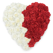An overhead photograph of a large heart-shaped wreath composed entirely of tightly packed carnations, shown against a bright white backdrop so every detail reads clearly. The left side is a sea of off-white and creamy carnations, their ruffled, papery petals folding in soft waves to create a plush, cloud-like texture; the right side is composed of deep, velvety red carnations that bring warmth and passionate contrast. The two halves are separated by a deliberate vertical division - an organic, slightly wavy seam that in this composition takes on a serrated, saw-tooth character where the red edge forms a sequence of small triangular points. Each bloom is distinct: layered petals, gentle shadows, and the faint clove-sweet scent you can almost imagine rising from the dense surface. Light from above sculpts subtle highlights on the cream petals and deepens the crimson tones, giving the heart dimensionality and softness at once. This piece reads as both a personal tribute and a bold graphic statement; depending on context it can evoke love, remembrance, or patriotic feeling. Here in Lea Bridge the arrangement could sit quietly at a riverside memorial by the River Lea or be carried into a service in nearby Leyton, its colours speaking clearly even at a distance. The craft is meticulous - each carnation set to build a seamless outer curve and a textured interior - and the overall impression is tender, respectful and visually striking, designed to be understood immediately by someone unable to see it but feeling its intent through texture, colour and form.